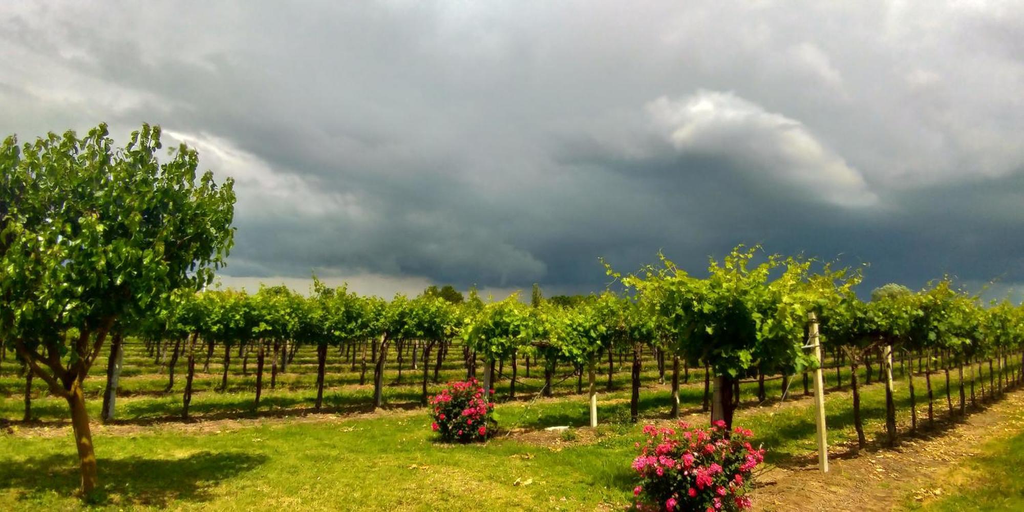 Fondo Gesu Farm stay